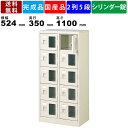 【楽天お買い物マラソン!!各種クーポン配布中】10人用シューズロッカー BST2-5WMXKN 2列5段 鍵付き 窓付き 扉付きタイプ スチール製 収納ロッカー 収納棚 保管棚 収納家具 オフィス収納 学校 塾 病院 シリンダー錠タイプ