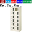 【楽天お買い物マラソン!!各種クーポン配布中】12人用シューズロッカー BST2-6WMXKN 2列6段 鍵付き 窓付き 扉付きタイプ スチール製 シューズラッ...