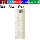【楽天お買い物マラソン!!各種クーポン配布中】16人用シューズロッカー BST2-8WKN 2列8段 鍵付き 扉付きタイプ スチール製 シューズボックス 収納庫 保管庫 シューズラック 玄関収納 スチールロッカー 名札差し付き スリムロ