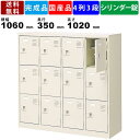 【楽天お買い物マラソン!!各種クーポン配布中】12人用シューズロッカー BST4-3LLKN 4列3段 中棚付き 鍵付き 扉付きタイプ スチール製 シューズラック 靴箱 下駄箱 収納箱 シューズケース 完成品 オフィス家具 収納家具 ス