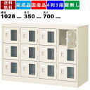 【楽天お買い物マラソン!!各種クーポン配布中】12人用シューズロッカー BST4-3WMXN 4列3段 窓付き 扉付きタイプ スチール製 収納ロッカー 保管ロッカー シューズラック 靴入れ 下足入れ 玄関収納 靴棚 収納棚 スチールロッ