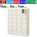 24人用シューズロッカー BST4-6WKN 4列6段 鍵付き 扉付きタイプ スチール製 シューズボックス スチールロッカー 収納庫 保管庫 靴入れ 下足入れ ...
