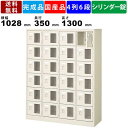 24人用シューズロッカー BST4-6WMXKN 4列6段 鍵付き 窓付き 扉付きタイプ スチール製 シューズボックス スチールロッカー 小物入れ 靴入れ 下足...