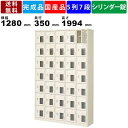 35人用シューズロッカー BST5-7HMXKN 5列7段 中棚付き 鍵付き 窓付き 扉付きタイプ スチール製 シューズロッカー 靴棚 くつ箱 下駄箱 玄関 昇降口 エントランス スチールラック 収納家具 完成品 セミホワイト シリンダー錠 更衣室 ジム