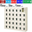 30人用シューズロッカー BST6-5HMXKN 6列5段 中棚付き 鍵付き 窓付き 扉付きタイプ スチール製 シューズボックス スチールロッカー 靴棚 収納棚 オフィス家具 学校 塾 病院 施設 中棚高100mm セミホワイト 完成品 シューズケース