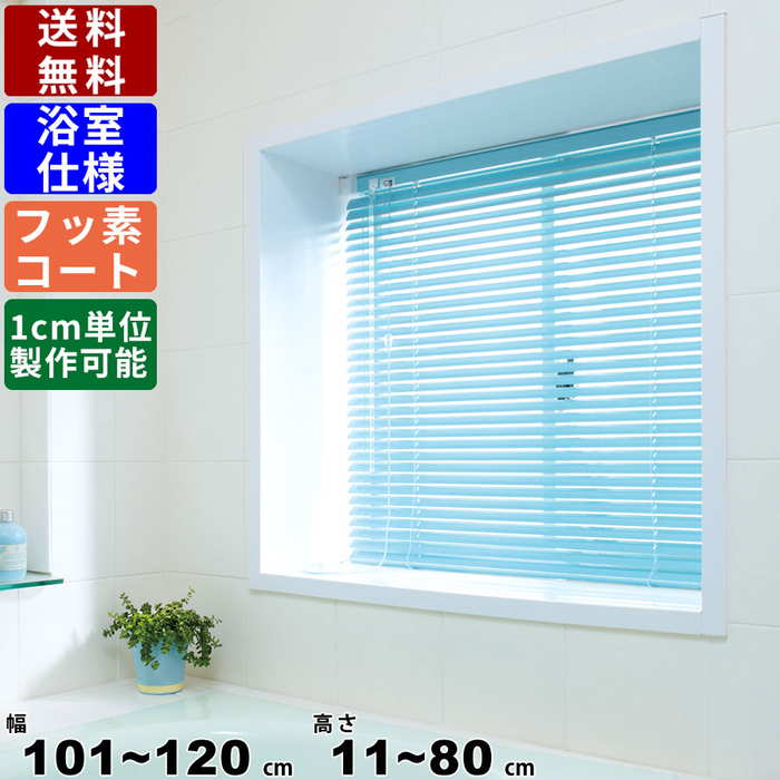 インテリアブラインド F-YF-12080 サイズオーダー 浴室仕様 フッ素コート スクリーン ロールスクリーン 目隠し 目かくし ブランド カーテン 突っ張り...