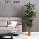 【楽天SUPERSALE!!各種クーポン配布中】観葉植物 FGF-600A フィカス 高さ1500mm アートグリーン 人工造花 人工樹木 店舗装飾 インテリア ゴムの木 お洒落 おしゃれ ギフト プレゼント お祝い品 お手入れ不要 横幅