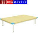 【店内全品ポイント2倍!!各種クーポン配布中】訓練台 診察台 治療台 施術台 ベッド 台 訓練ベッド トレーニングベッド リハビリベッド 医療施設 介護施設 病院 整体 整骨 リハビリ器具 運動療法 物理療法 カラー18色 防汚 抗菌(3)