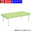 施術台 施術ベッド ワイドタイプ 強化型脚部 診察台 診察ベッド リハビリ トレーニング マッサージ 病院 整骨院 整体院 クリニック 鍼 指圧 カラーバリエーション アロマ カイロ エステ 医療施設 介護施設 アジャスター付き 防汚 難燃 耐次亜塩素酸