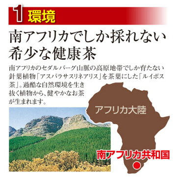 ルイボス茶　60袋（単品）【有機JAS認定】オーガニックルイボスティー ノンカフェイン 煮出しティーバッグタイプ