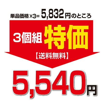 【送料無料】ビタCコラーゲンNeo 顆粒タイプ・レモン風味（30包）【3個組】　フィ...