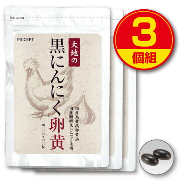 【送料無料】大地の黒にんにく卵黄（3個組）福地ホワイト六片　烏骨鶏