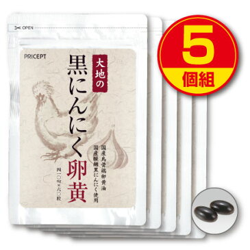 【送料無料】大地の黒にんにく卵黄（5個組）