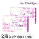 【送料無料】【YM】2ウィークファインUVプラス 2箱 2week Fine UV plus 使い捨 ...