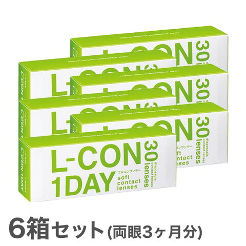 【送料無料】エルコンワンデー 6箱セット【30枚×6箱】（使い捨てコンタクトレンズ / 株式会社シンシア / エルコン / コンタクトレンズ / L-CON　1DAY / 1日使い捨て）