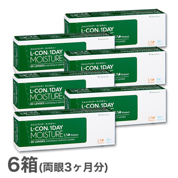 【送料無料】エルコンワンデーモイスチャー 6箱セット 30枚入 1日使い捨て ( シンシア エルコン LCON L-CON 1DAY クリアレンズ 1dayタイプ )