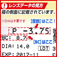 ������̵����L-CON��1DAY EXCEED�ʥ��륳����ǡ����������ɡ�6Ȣ���åȡ��Ȥ��Τƥ��󥿥��ȥ�� 1���������ѥ�����/������ҥ��󥷥���lcon-ex�ۡ�PT10��