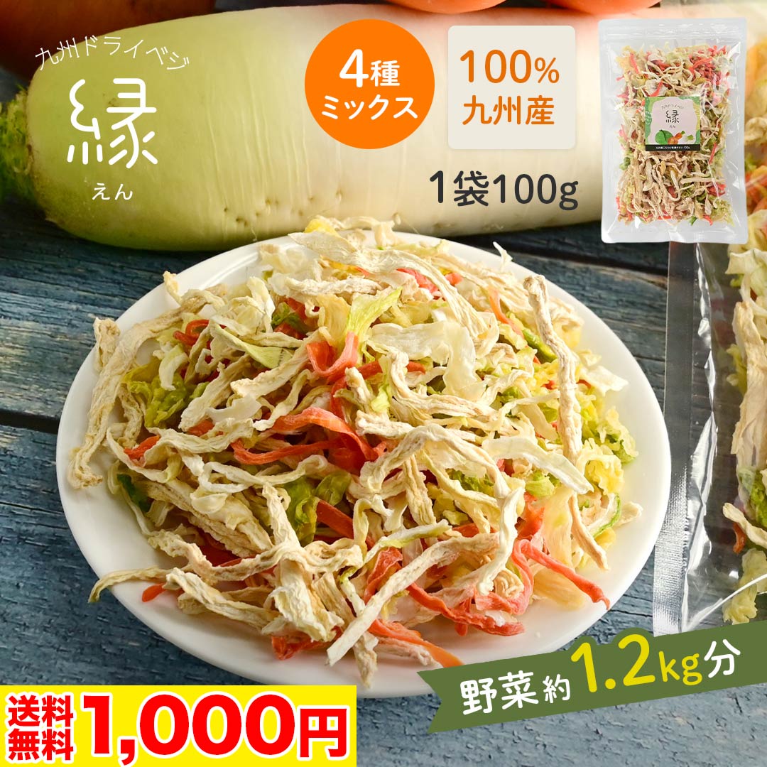 【期間限定 クーポンで 1000円ポッキリ ＆ポイント20倍！】【 ※14時までの注文で 即日発送 】【 送料無料 】 乾燥野菜 ミックス 国産 100g 野菜 乾燥 たまねぎ にんじん キャベツ だいこん 4種 ドライベジ 乾燥大根 乾燥玉ねぎ 乾燥人参 味噌汁の具 保存食 備蓄 野菜 九州産のサムネイル