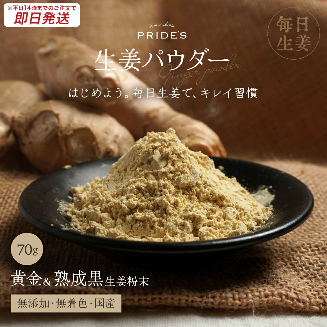 【期間限定 1,080円！さらにまとめ買いで最大450円OFFクーポン】【※14時までのご注文で 即日発送 】【 送料無料 】 九州産 生姜パウダー 70g 黄金生姜 × 熟成黒生姜 毎日生姜 生姜 無着色 無添加 しょうがパウダー 生姜粉末 ジンジャーパウダー 国産 冷え 粉末のサムネイル