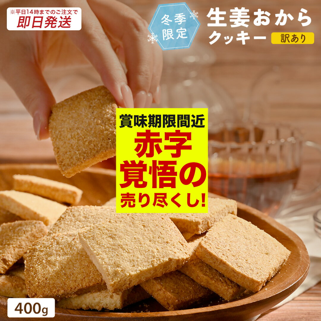 【 賞味期限 間近 につき 赤字 覚悟の 在庫処分 】【 ※14時までのご注文で 即日発送 送料無料 】 生姜 おからクッキー 400g 訳あり おからクッキー ダイエット クッキー 洋菓子 食品 食べ物 . 福袋 バレンタイン 2024 義理 本命 チョコ以外 子供 男の子 バレンタインデーのサムネイル