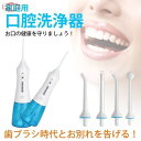 口腔洗浄器 電動 口腔洗浄機 歯間ジェット USB充電 口腔洗浄 歯茎ケア IPX8 歯間 歯垢洗浄