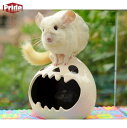 ハムスターハウス ハリネズミ モルモット チンチラ フェレット ラットゴールデンハムスターの家 小動物用 幽霊 セラミック (L)(4)