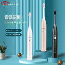 電動歯ブラシ 替えブラシ3本付き 防水 人気 ランキング 音波式 携帯 キッズ おしゃれ 子ども 最新 水流 除菌 ステイン 除去 ヘッド(2)