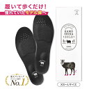 【公式】カモシカソール 1足セット 世界特許技術採用 姿勢矯正 姿勢改善 美脚 消費カロリー ダイエット ソール アーチサポート 疲労軽減 履いて歩くだけ 筋ト...