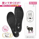【限定P10倍】カモシカソール 2足セット 世界特許技術採用 姿勢矯正...(4)