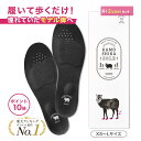 【限定P10倍】4足+2足プレゼント カモシカソール 世界特許技術採用...(4)