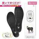 【公式】カモシカソール 2足セット 世界特許技術採用 姿勢矯正 姿勢改...(4)