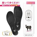 【公式】4足+2足プレゼント カモシカソール 世界特許技術採用 姿勢矯...(4)