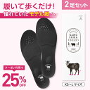 【公式】カモシカソール 2足セット 世界特許技術採用 姿勢矯正 姿勢改...(4)