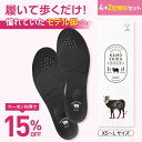 【公式】4足+2足プレゼント カモシカソール 世界特許技術採用 姿勢矯...(4)
