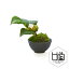 椿つぼみ ぐいのみ 黒錆 人工観葉植物 フェイクグリーン 造花 CUPBON