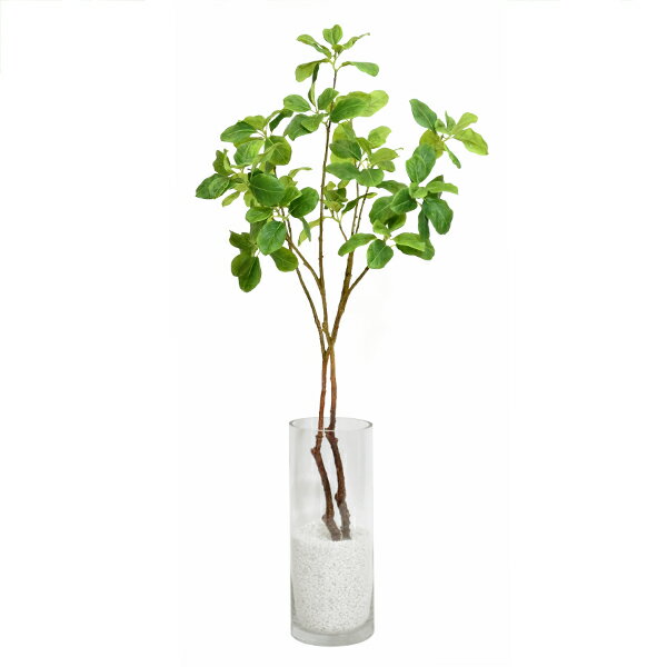 信頼 フェイクグリーン 人工観葉植物 造花マグノリアリーフ ガラスシリンダーh35 Greenpark 観葉植物 観葉 植物 人工 人工植物 インテリアグリーン インテリア フェイク グリーン おしゃれ シンプル フェイク 開店祝い 玄関 開業祝い 店長大暴走 クリアランスsale