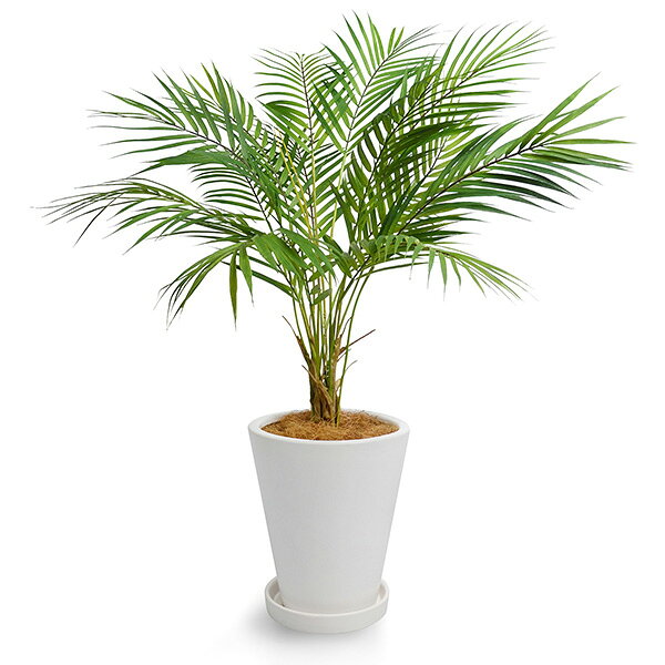 大切な フェイクグリーン 観葉 人工観葉植物 造花パームリーフ 皿付プランターh24 Greenpark 植物 観葉植物 観葉 フェイク 植物 人工 人工植物 リアル インテリアグリーン インテリア フェイク グリーン アーティフィシャルグリーン ヤシ 神戸オートン輸入雑貨店