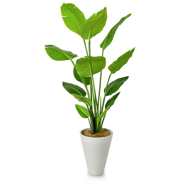 フェイクグリーン 大型 人工 人工観葉植物 花 観葉植物 造花 ストレチア ウッドチップ 開業祝い Gwプランター Greenpark おしゃれ フェイク 開店祝い 玄関 開業祝い ストレリチア 観葉植物 人工 インテリアグリーン アーティフィシャルグリーン Prima Greenpark