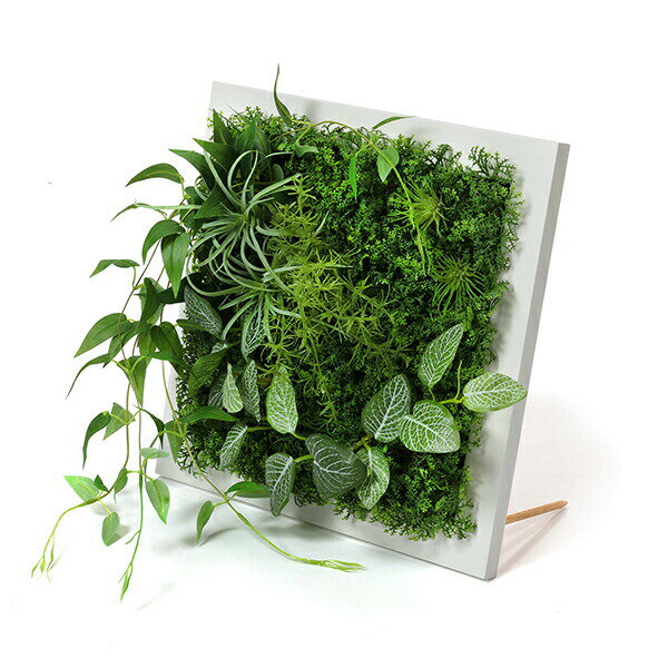 インテリアグリーン グリーンインテリア プレゼント 人工観葉植物 グリーンパーク インテリア 人工観葉植物 インテリア スクエア フレームグリーン ウォールグリーン オフィス花 ガーデン Diy フェイクグリーンgreenpark 造花エアプランツ フィットニア ギフト フェイク インテリアグリーン グリーンインテリア プレゼント 人工観葉植物 グリーンパーク インテリア 人工観葉植物 インテリア スクエア フレームグリーン ウォールグリーン オフィス花 ガーデン Diy フェイクグリーンgreenpark 造花エアプランツ フィットニア ギフト フェイク