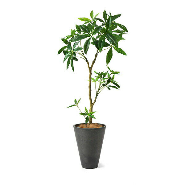 観葉植物 フェイク 大型 グリーンパーク インテリア 花 観葉植物 イミテーショングリーン 別倉庫直送品 フェイクグリーン グリーン おしゃれ花 ガーデン Diy 大きい ギフト アーティフィシャルグリーン インテリア 人工観葉植物 造花 大型パキラ Gwプランター Gray 観葉植物 フェイク 大型 グリーンパーク インテリア 花 観葉植物 イミテーショングリーン 別倉庫直送品 フェイクグリーン グリーン おしゃれ花 ガーデン Diy 大きい ギフト アーティフィシャルグリーン インテリア 人工観葉植物 造花 大型パキラ Gwプランター Gray