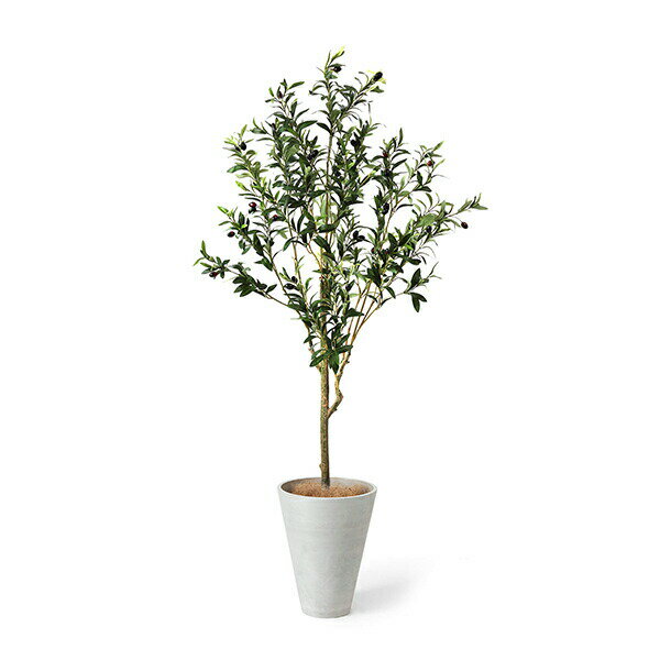 インテリアフェイクグリーン人工観葉植物造花大型オリーブGWプランターwhiteH160cmフェイクグリーンGREENPARK|【セットアップ】【別倉庫直送品】フェイク玄関オフィス水やり不要枯れないイミテーショングリーンアートグリーンおしゃれ