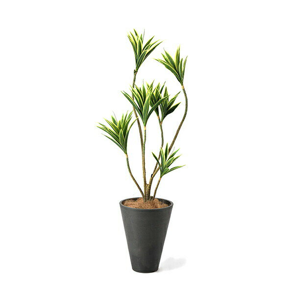 インテリア ギフト オフィス グリーンパーク 玄関 観葉植物 アートグリーン フェイク グリーン 大型 大きい イミテーショングリーン アーティフィシャルグリーン インテリア フェイクグリーン 人工観葉植物 造花 大型ドラセナ Gwプランター Gray H128cm フェイクグリーン インテリア ギフト オフィス グリーンパーク 玄関 観葉植物 アートグリーン フェイク グリーン 大型 大きい イミテーショングリーン アーティフィシャルグリーン インテリア フェイクグリーン 人工観葉植物 造花 大型ドラセナ Gwプランター Gray H128cm フェイクグリーン