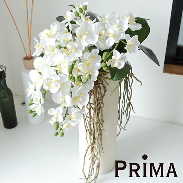 楽天市場 アーティフィシャルフラワー フラワーアレンジメント 造花ミニ胡蝶蘭 シリンダー Prima フェイクフラワー インテリア ディスプレイ フラワーギフト アートフラワー 開店祝い 開業祝い アレンジメント フェイクフラワー プレゼント 枯れない 花 Prima Greenpark