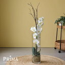 【公式】胡蝶蘭 ガラスシリンダー 造花 フラワーアレンジメント | PRIMA フェイクフラワー インテリア フラワーギフト アートフラワー 開店祝い 開業祝い...