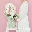 【公式】胡蝶蘭 2本立ち プラージュ 造花 フラワーアレンジメント | PRIMA フェイクフラワー インテリア フラワーギフト アートフラワー 開店祝い 開業...