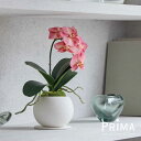 【ポイントUP】【公式】胡蝶蘭 1本立 ピンク ピーチ 造花 フラワーアレンジメント | PRIMA フェイクフラワー インテリア フラワーギフト アートフラワ...