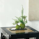 【ポイントUP】【公式】モミジ 寄せ植え苔玉 黒岩皿 CUPBON 盆栽 フェイクグリーン | PRIMA フェイク盆栽 観葉植物 人工 小さい リアル フェイ...