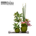 【公式】桜の葉 寄せ植え苔玉 黒岩皿 実付 CUPBON 盆栽 フェイクグリーン | PRIMA フェイク盆栽 観葉植物 人工 リアル フェイク グリーン イミ...