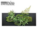 【ポイントUP】【公式】モミジ×シノブ ウォールデコM CUPBON 盆栽 フェイクグリーンGREENPARK |人工観葉植物 造花 大鉢 観葉植物 観葉 植物...