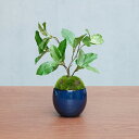 【公式】クチナシ 小鉢 藍 CUPBON 盆栽 フェイクグリーン | PRIMA フェイク盆栽 観葉植物 人工 リアル フェイク グリーン イミテーション イン...